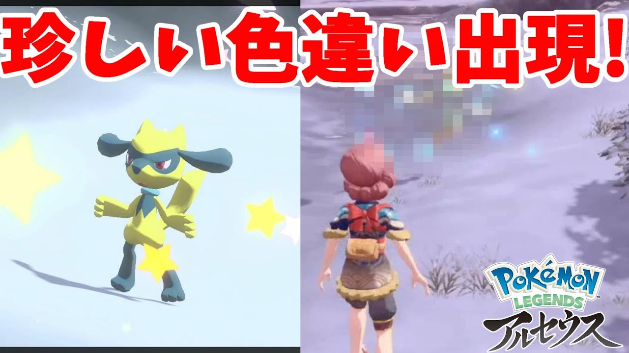 珍しい色違い発見！ついに色リオルきたー！スカレットバイオレットに連れていきたい！【ポケモンレジェンズアルセウス】