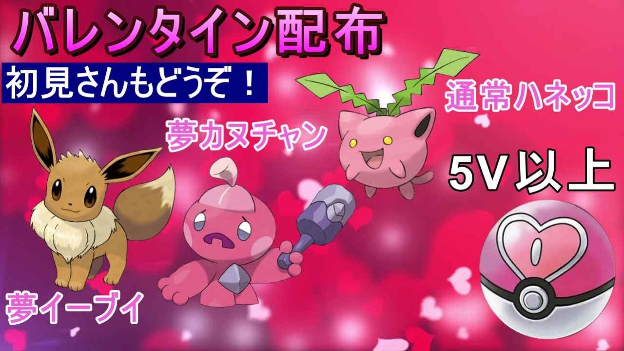 【ポケットモンスターSV】ラブボ入りポケモン配布！　イーブイ　カヌチャン　ハネッコ