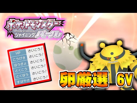 【ダイパリメイク】エレキッドを厳選して6Vエレキブルを作る！