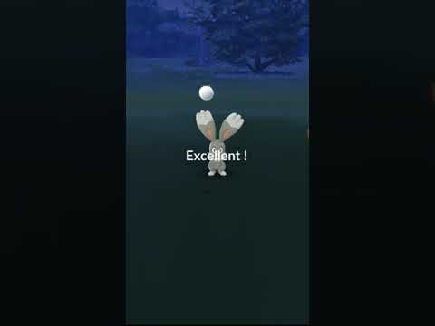 【ポケモンGO】ショート動画・色違いホルビー初遭遇♪