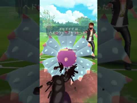 シャドウカイリュー、ドヒドイデ、ラグラージ Selection Part 20 ( GO Battle League Season 13 ) #shorts