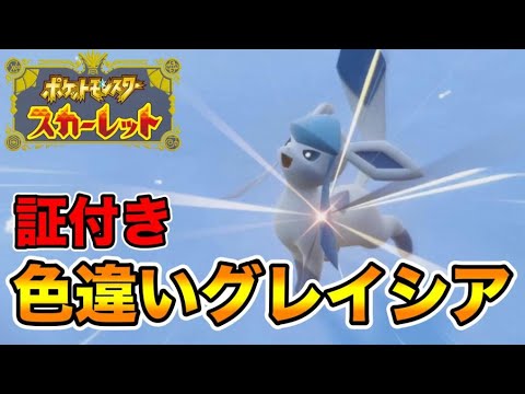 証付きの色違いグレイシアを出してしまう男　【ポケモンSV】