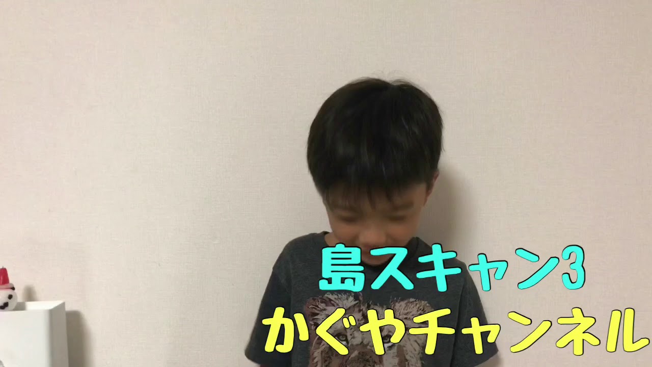 【島スキャン3】水曜日・ウラウラ島・ハヤシガメ