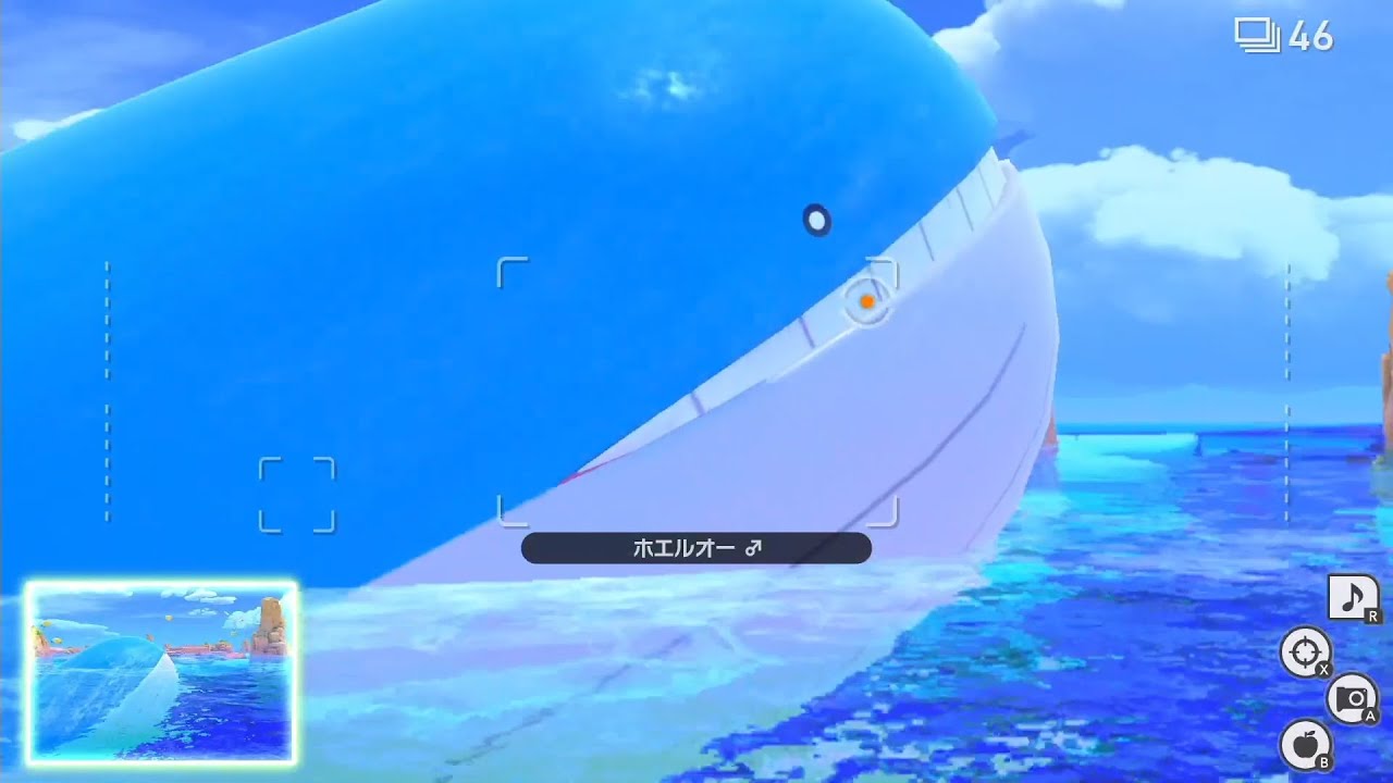 【New ポケモンスナップ】ホエルオーと、パッションでポケモンを撮る男　#shorts