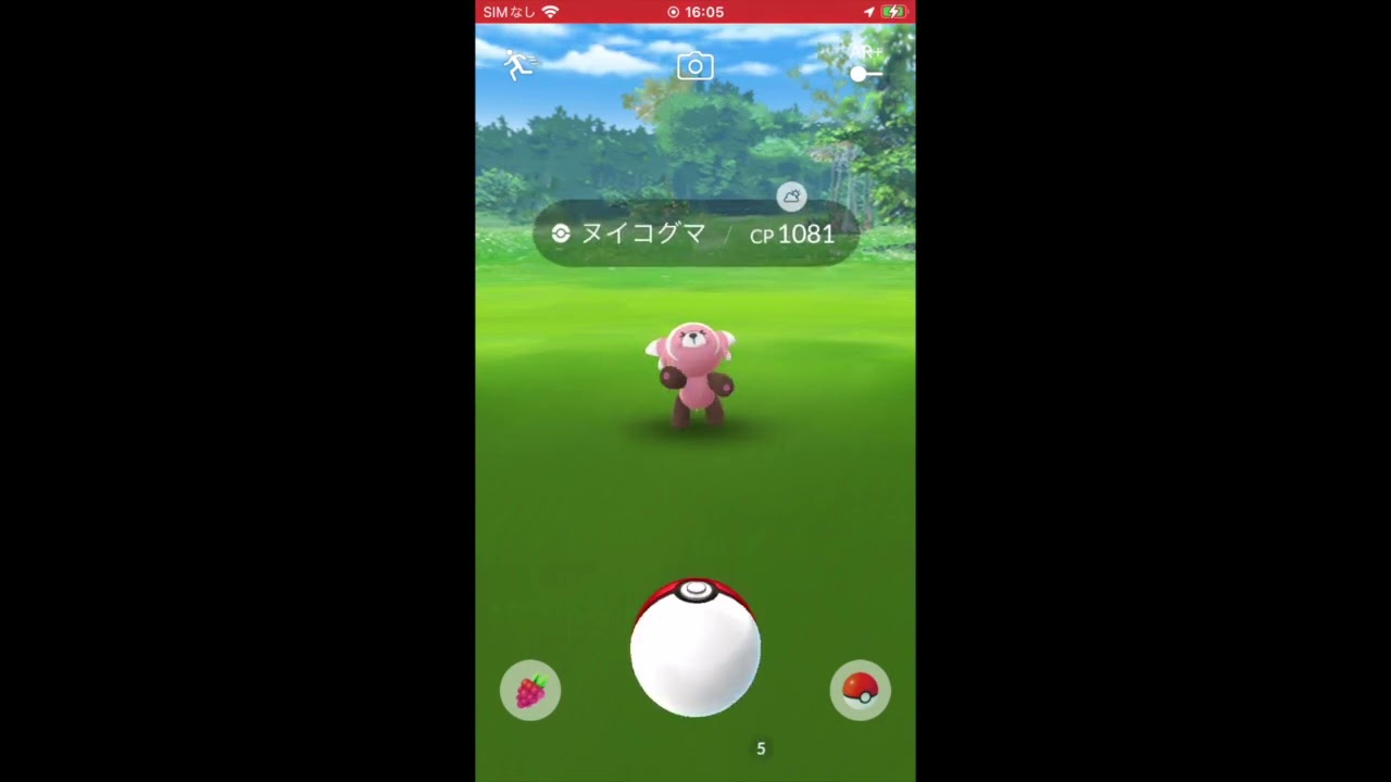 ヌイコグマの威嚇が可愛すぎる #shorts