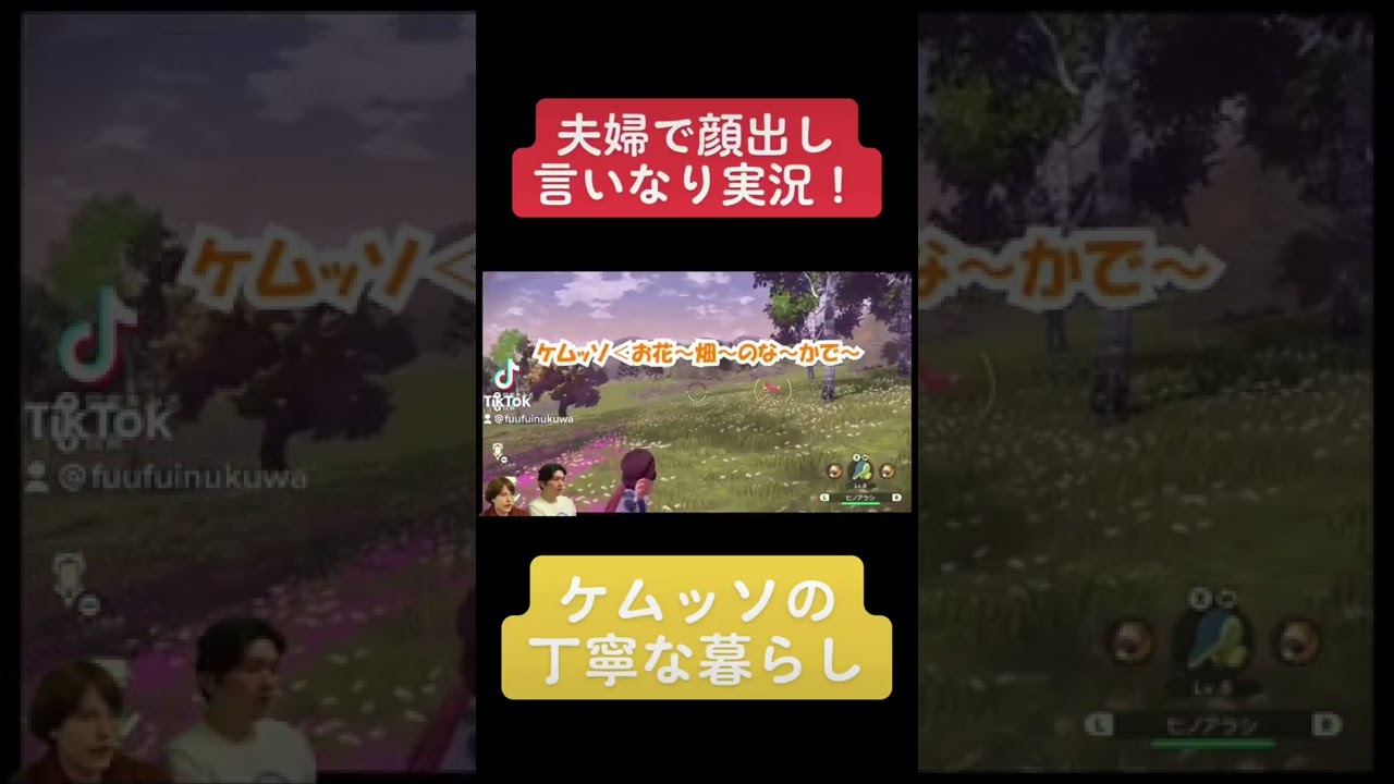 ケムッソの丁寧な暮らし