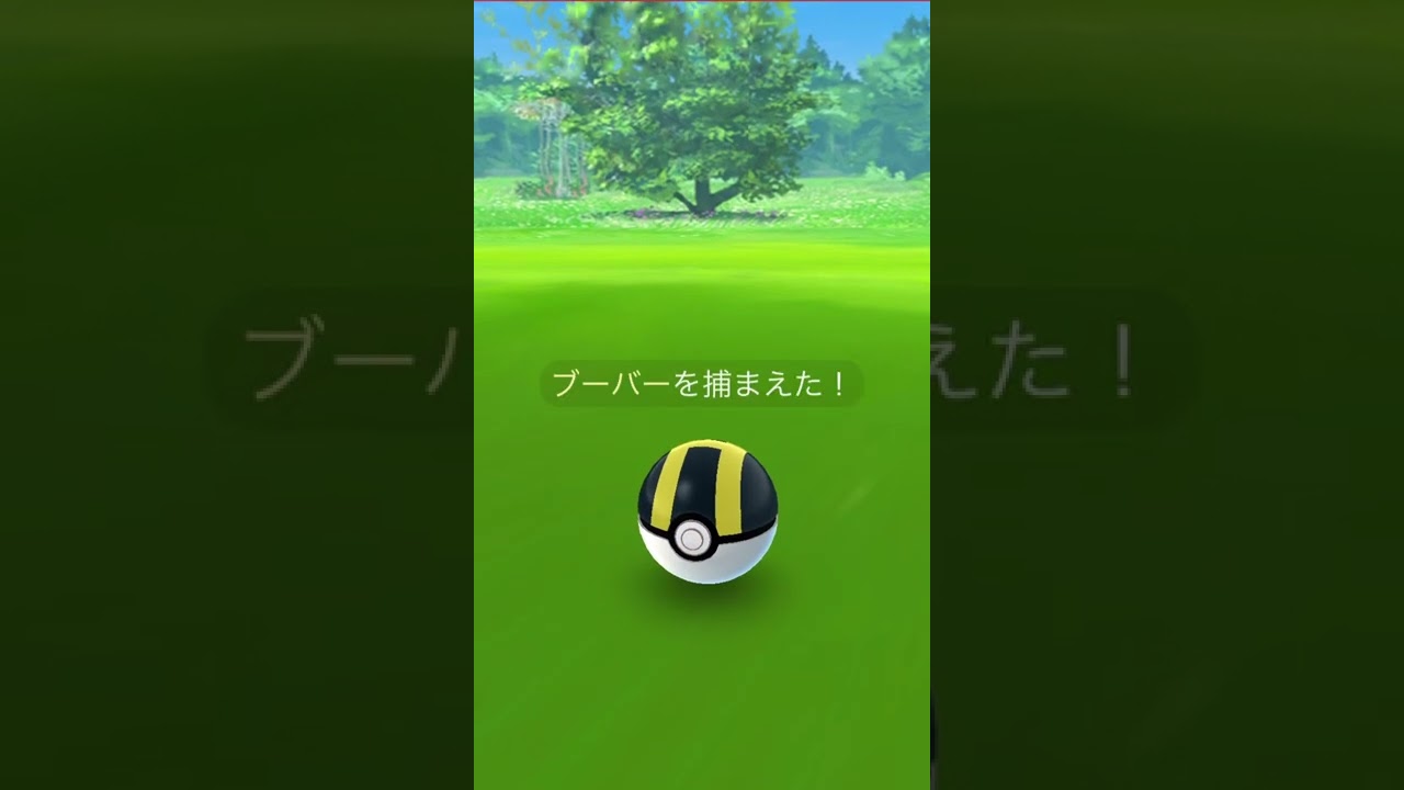 ブーバーの色違い　GET✨