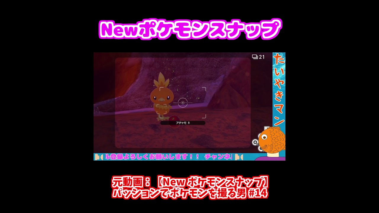 リンゴをぶつけられても笑うアチャモ【Newポケモンスナップ】