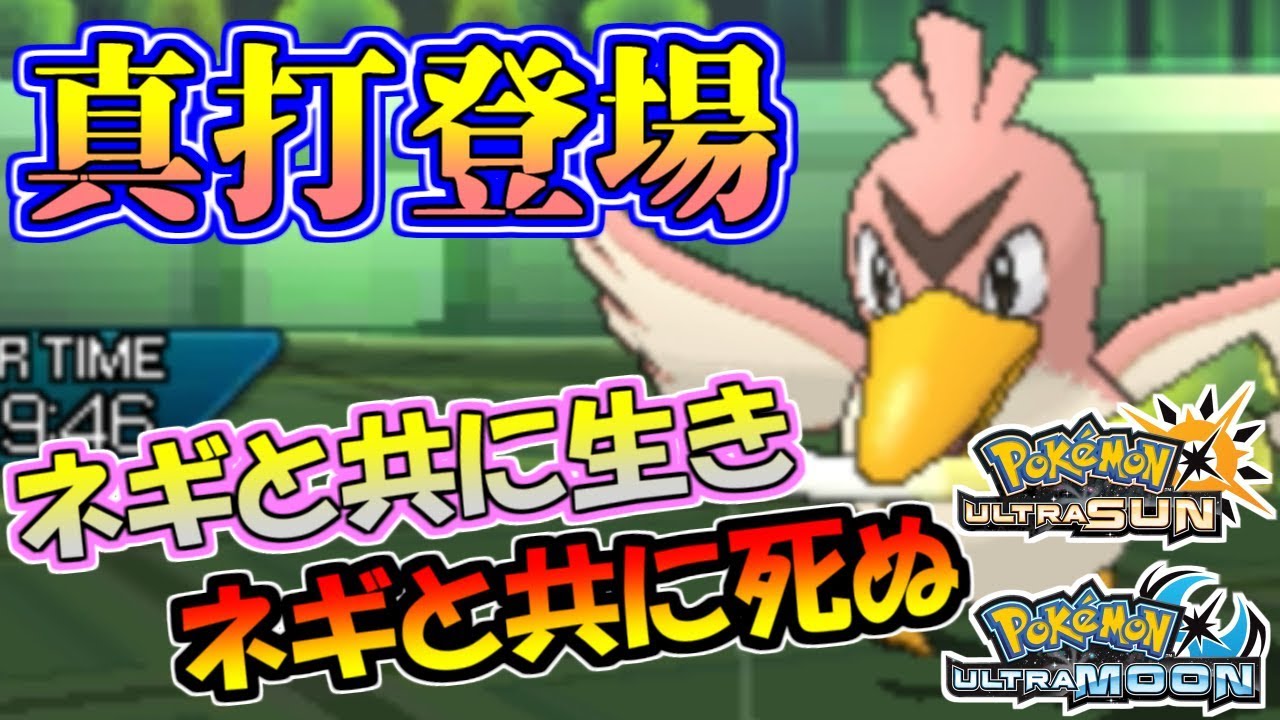 【ポケモンUSUM】真打登場。進化に甘えない「伝説の侍」カモネギ【ウルトラサン/ウルトラムーン】