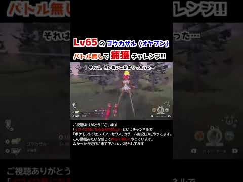Lv65のゴウカザル（オヤブン）をバトル無しで捕獲する!!【Pokémon LEGENDS アルセウス】