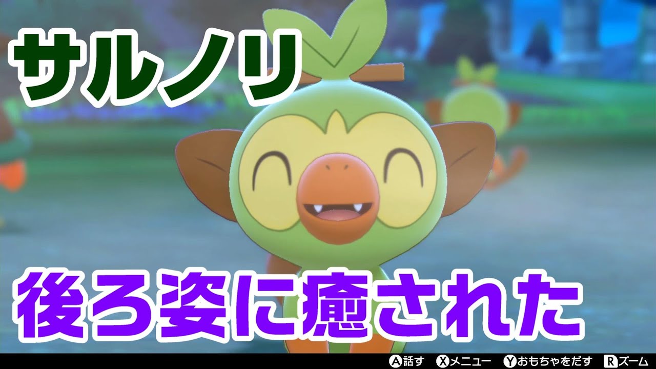 【ポケモンキャンプ実況】日光サルノリ軍団（バチンキー＋ゴリランダー）