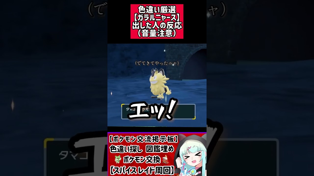 色違いガラルニャースを見つけた人の反応（音量注意）#ポケモン #pokemon  #ポケモンsv  #ポケットモンスタースカーレットバイオレット  #女性実況 #色違い #色違い厳選 #shorts