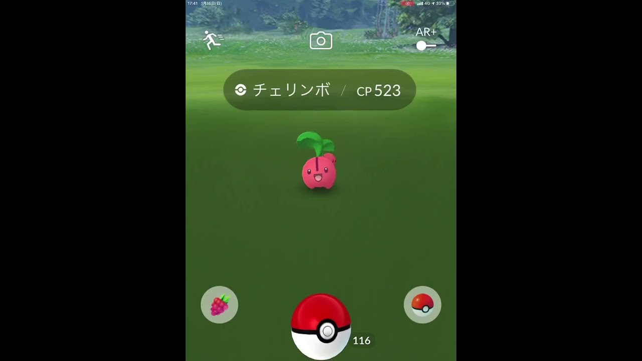 ポケモンGO チェリンボ　Pokémon GO