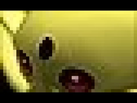 ポケモンコロシアム　カポエラー　色粘り