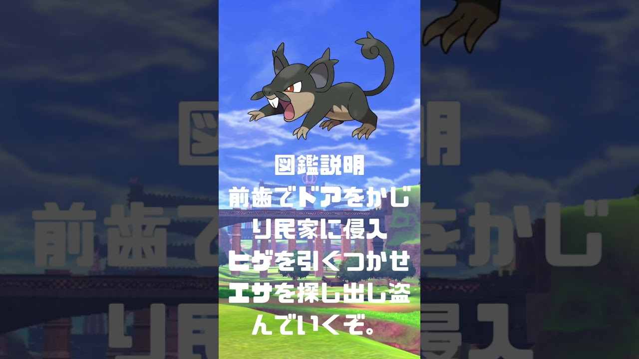 Ｎｏ．00019 コラッタアローラの姿【ポケモン図鑑】 #shorts   #ポケモン　#pokemon