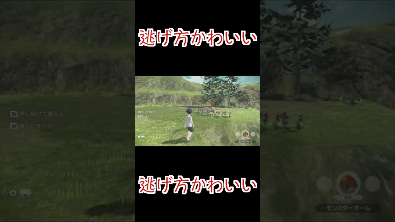 逃げ方のかわいいモクロー#Shorts