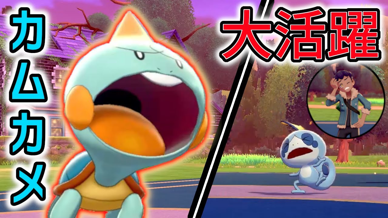 新ポケモン・カムカメでホップのメッソン圧倒! 【ポケモン剣盾(ポケモンソードシールド)】 実況 #3