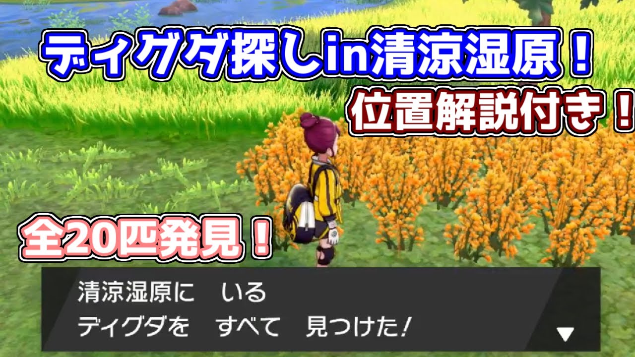 清涼湿原でのディグダの位置解説！エリア内20匹発見！ディグダ150匹【ポケモン剣盾】ゆっくり解説