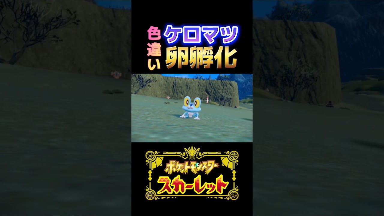 【ポケモンSV！色違いケロマツが卵孵化した！！】#shorts #ポケモンsv #ゲッコウガ #色違い