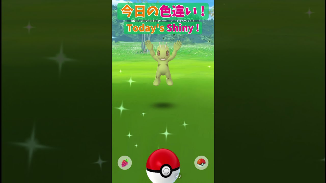 ワンリキー色違いゲット(Machop Shiny)【Pokémon GO】 #Shorts