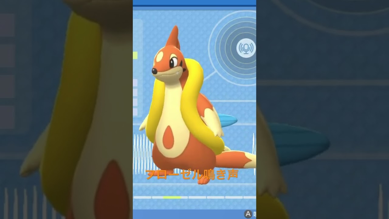 BDSP【シンオウ図鑑NO057】フローゼル鳴き声#ポケモン鳴き声 #図鑑コンプ #ブリリアントダイヤモンド #シャイニングパール#ポケモン生態#第四世代鳴き声#Floatzel
