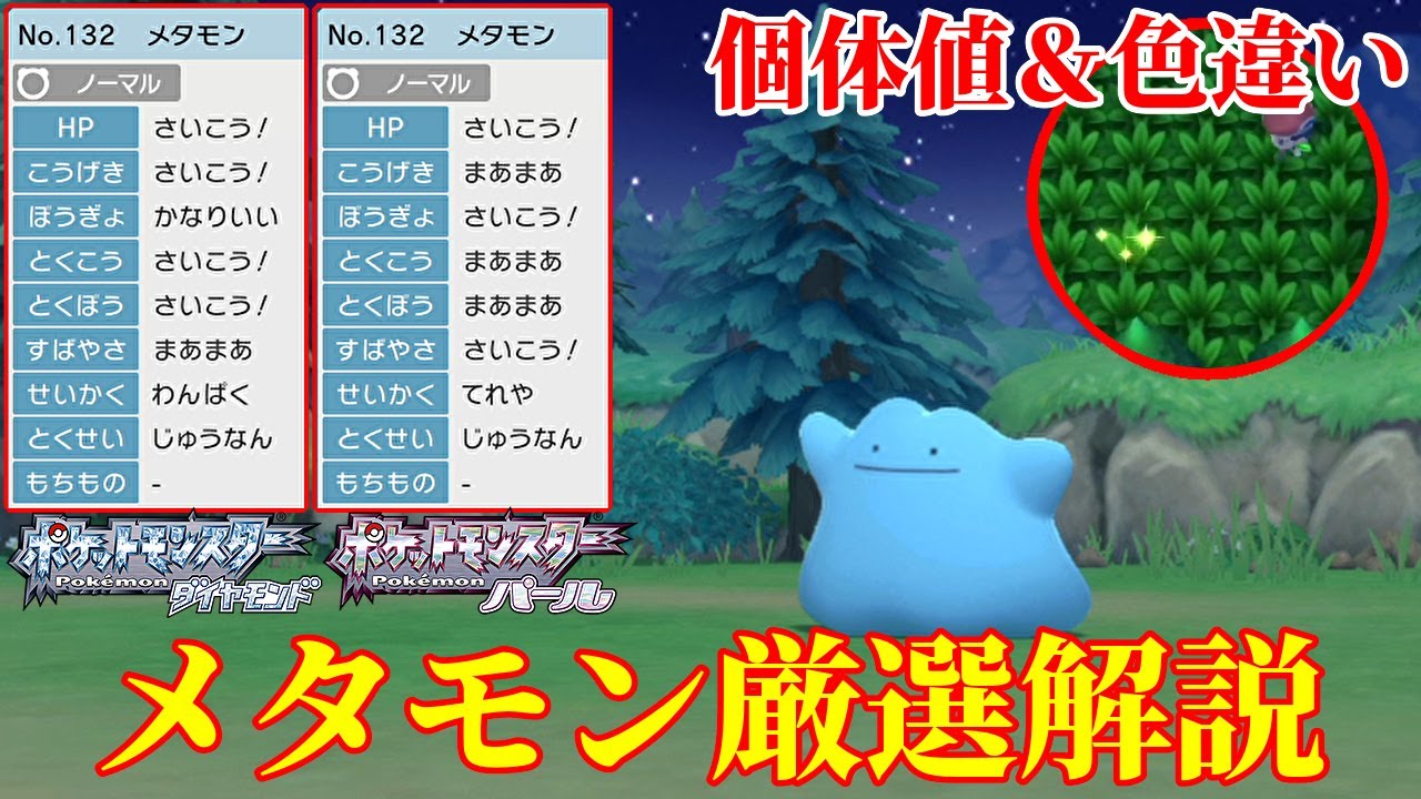 【ダイパリメイク】正しくやれば意外といける！？ポケトレ連鎖のコツ・メタモン厳選解説！色違いも【ポケモンBDSP】