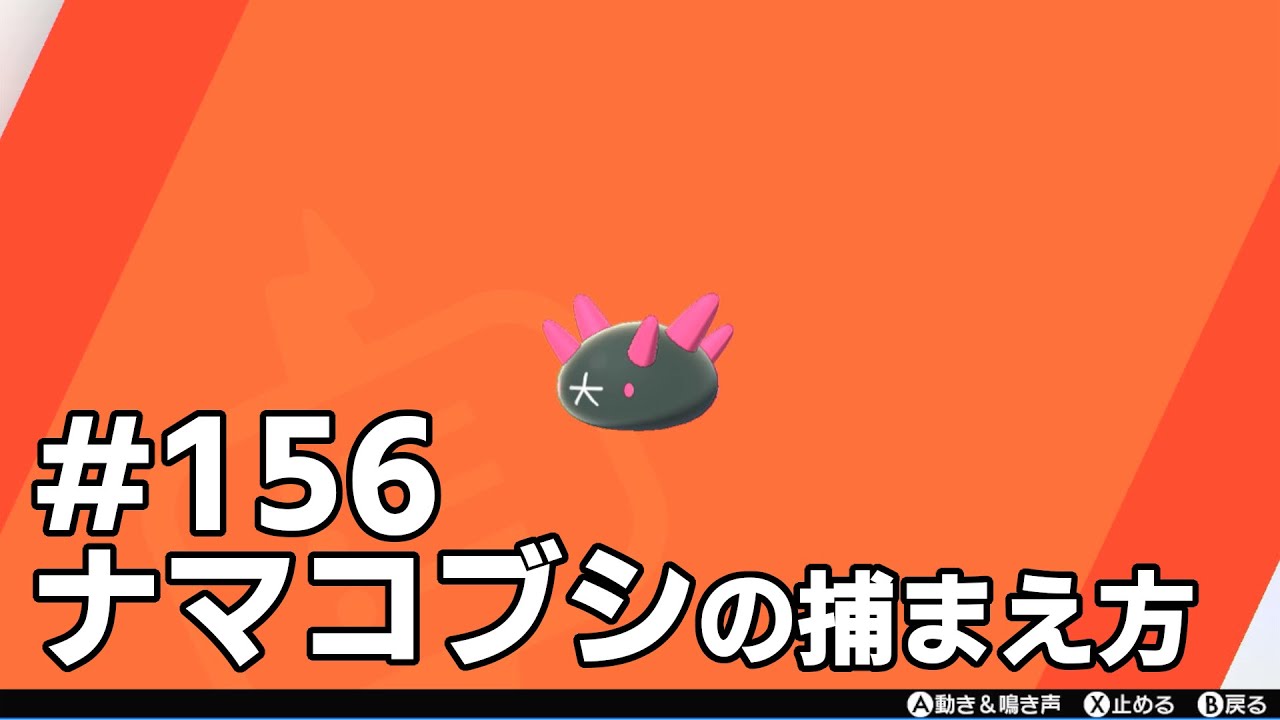 ナマコブシを探している方に見てほしい動画