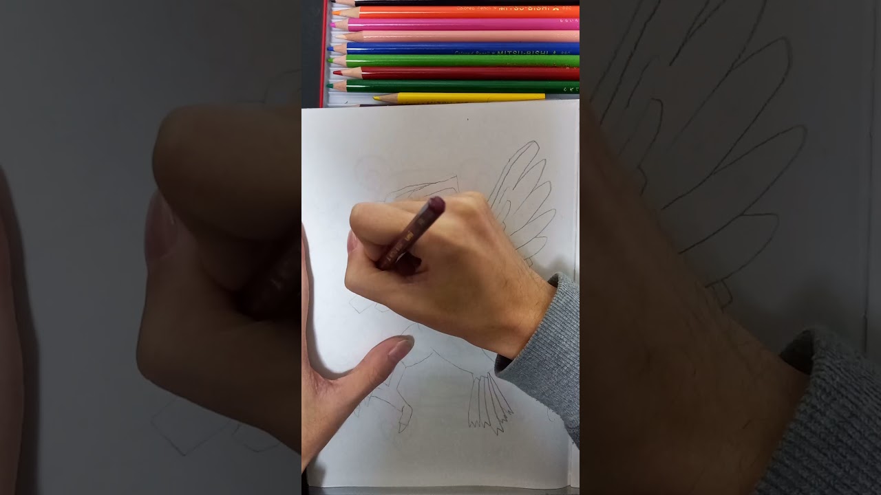 【初代151匹】ポケモン描けるかな？ 【4匹目 ピジョン Pidgetto】 #Shorts