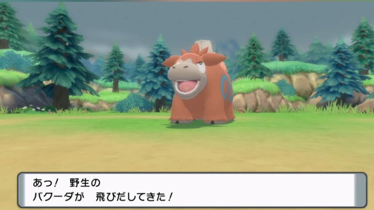 ダイパとダイパリメイクでの野生のバクーダの違い#shorts【ポケモン】