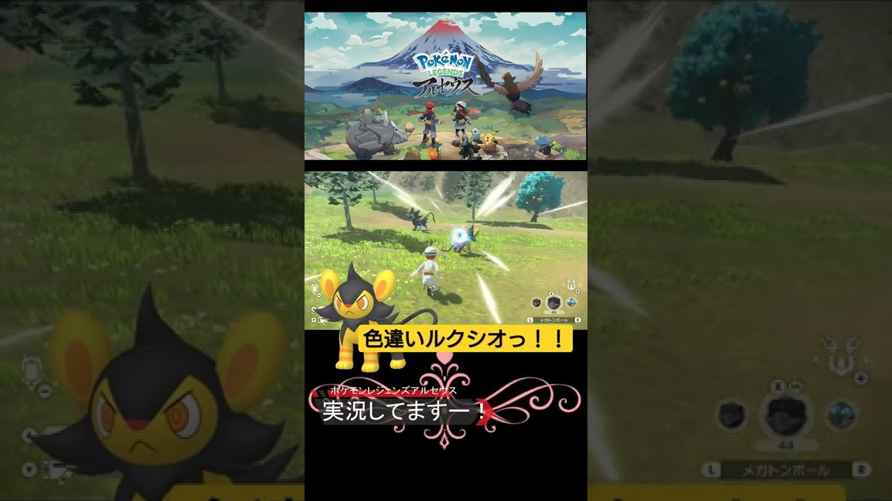 【ポケモンレジェンズ】コリンク・ルクシオ・レントラー！色違い発見！【アルセウス】