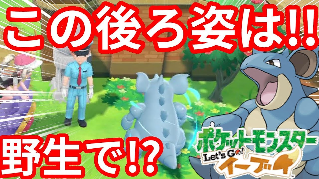 奇跡的？野生でニドクインと出会う！【ポケモンLet'sGO！イーブイ】