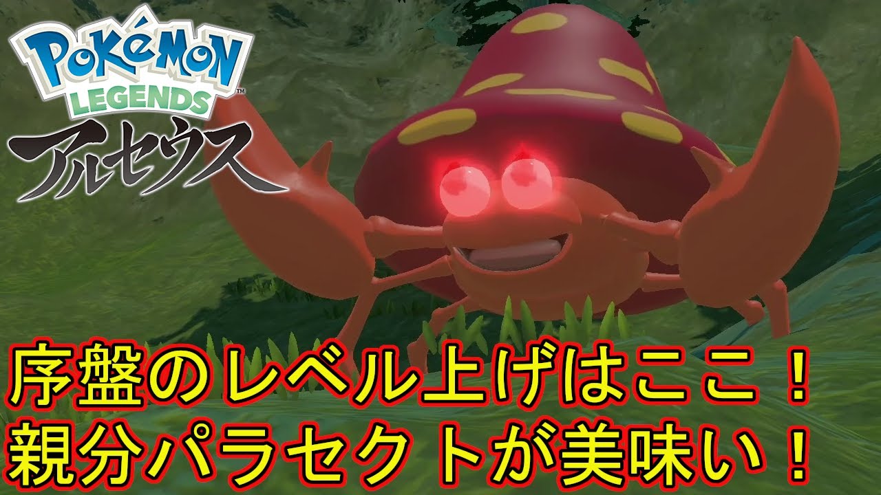 序盤効率レベル上げ！親分パラセクトが美味い！【Pokémon LEGENDS アルセウス】