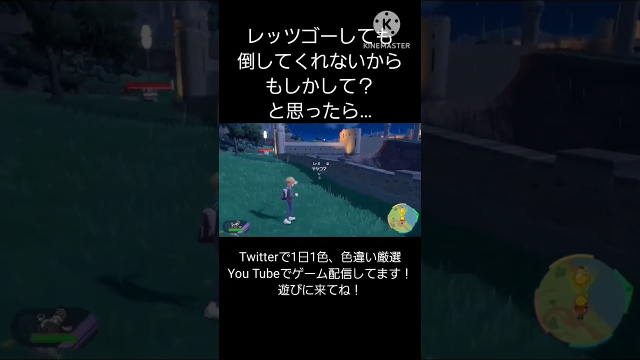 【色違い】レッツゴーで倒せないヤヤコマ #ポケモン #色違い #配信者 #おばさん #ヤヤコマ
