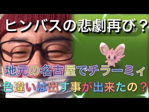 【ポケモンGO】序盤に悲劇！地元でチラーミィのタスク狩り！【Pokémon GO】