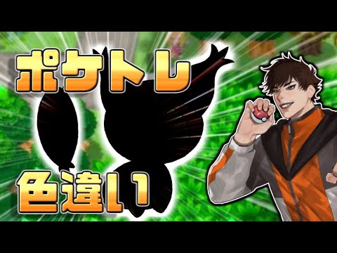 ポケトレで色違いエネコをゲットしたい！【ポケモンPDSP】