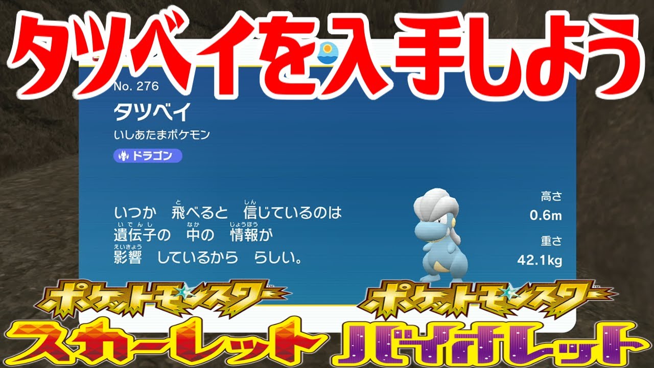 【ポケモンSV】タツベイを入手しよう【ポケットモンスター スカーレット・バイオレット】Pocket Monsters