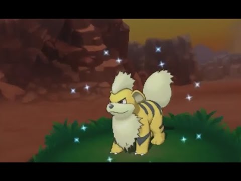 3DS【ポケモン ORAS】shiny Growlithe 色違い ガーディ 色違 卡蒂狗