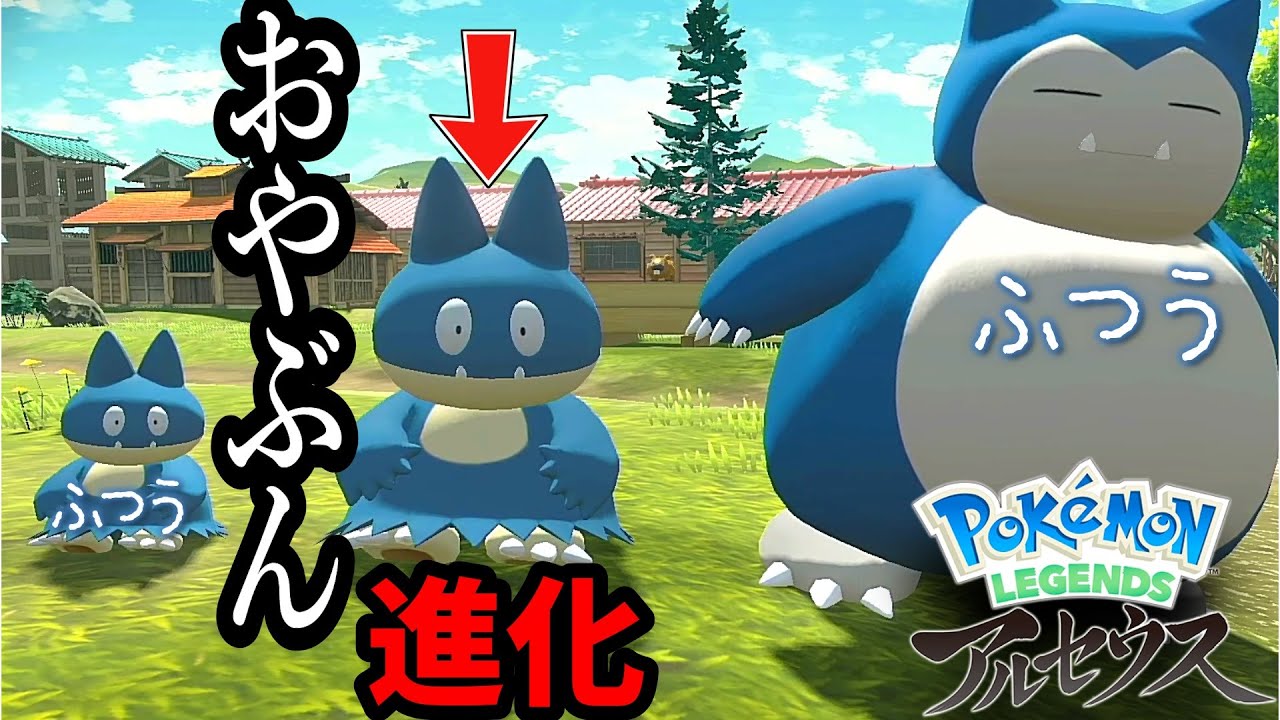 オヤブン ゴンベをカビゴンに進化させたい！進化させる方法・注意点【ポケモンアルセウス】