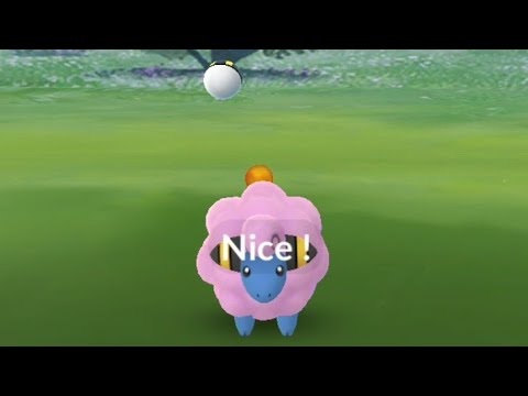 ポケモンGO コミュニティ・デイ やせいの色違いメリープがあらわれた