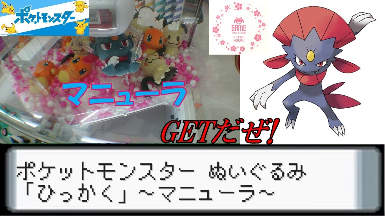 ポケットモンスター でっかいコロっとまんまるぬいぐるみ 「ひっかく」～マニューラ~