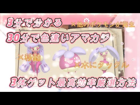 30分3体確定色違いアマカジ最高効率厳選方法！ #ポケモンSV #色違い #アマカジ #アママイコ #アマージョ #タックル不要