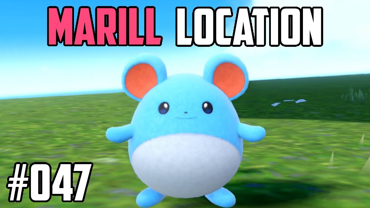 マリルの捕まえ方 - ポケットモンスター スカーレット&スカーレットバイオレット