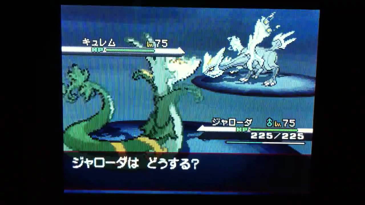 ポケットモンスターホワイト　キュレム捕獲
