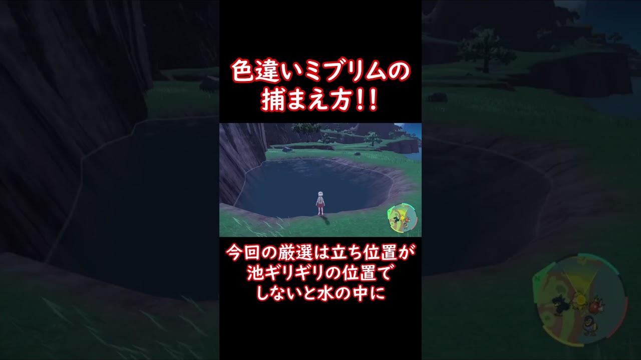 色違いミブリムの捕まえ方！ #shorts #ポケットモンスター #ポケモン #ポケモンsv #pokemon #色違い #ブリムオン