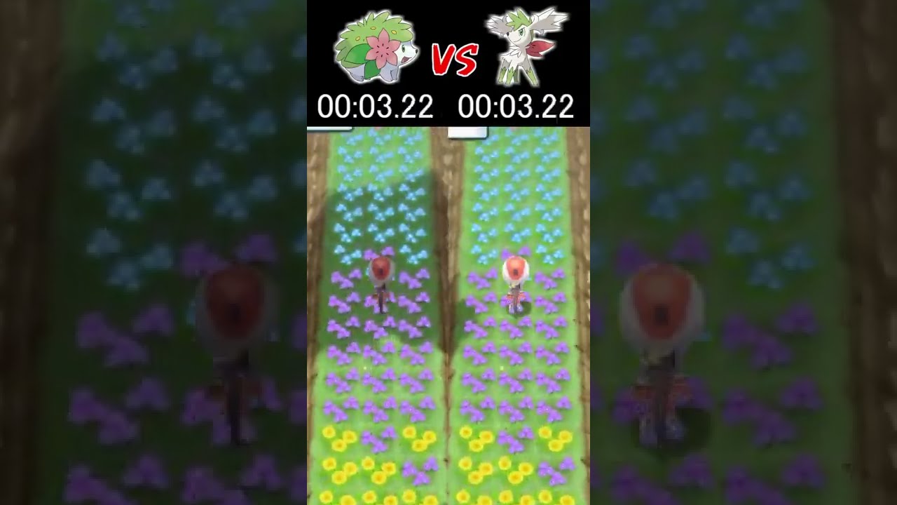 どっちのシェイミが速い？【ポケモンBDSP】#shorts