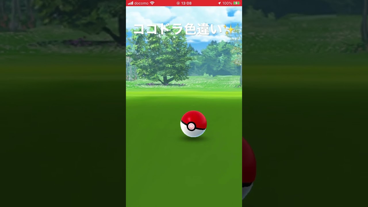 ココドラ 色違い ✨