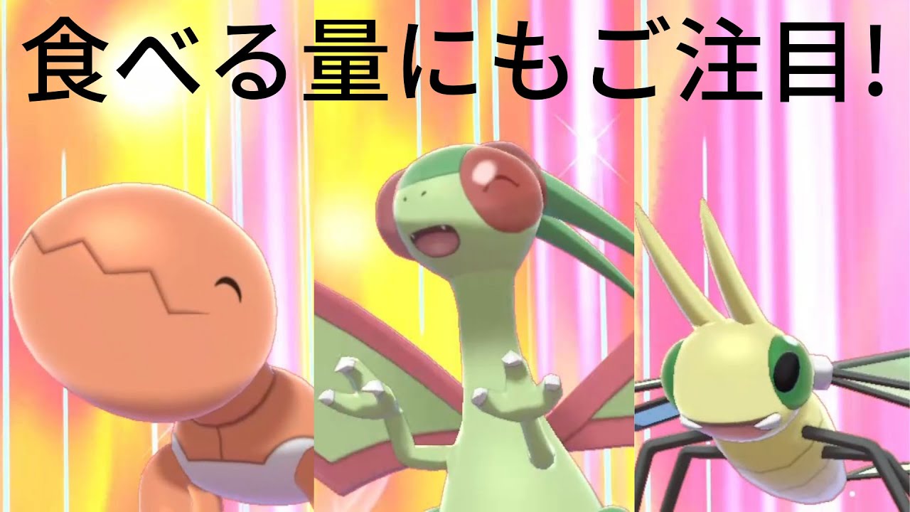 【ポケモン剣盾】リザードン級カレーを味わうフライゴンたち　食べる量が･･･？