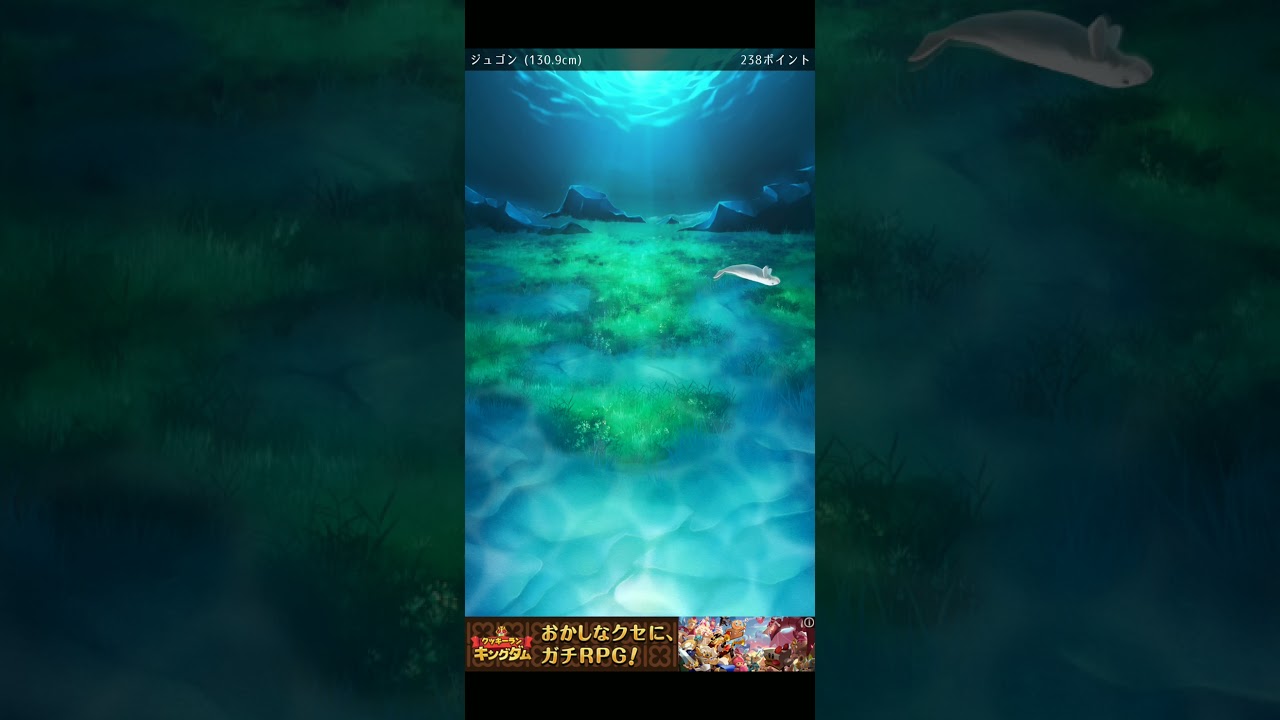 ジュゴン49日目