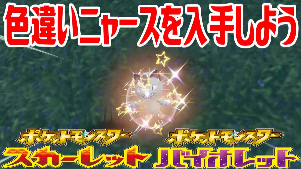 【ポケモンSV】色違いニャースを入手しよう【ポケットモンスター スカーレット・バイオレット】Pocket Monsters