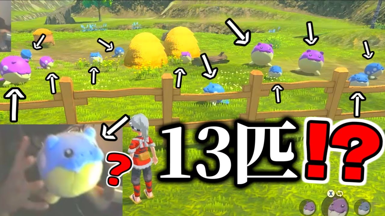 放牧場にて同時に13体(?)のタマザラシを召喚してしまう男【ごまちゃん切り抜き】【ポケモンLEGENDSアルセウス】